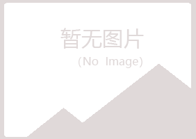 阿城夏岚培训有限公司